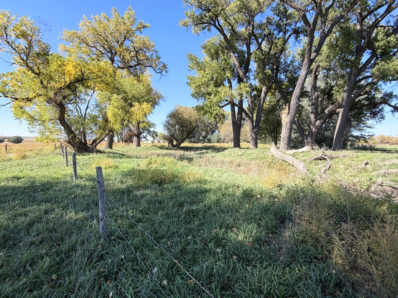 Lodgepole, NE Cheyenne County Nebraska land for sale