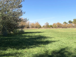 Lodgepole, NE Cheyenne County Nebraska land for sale