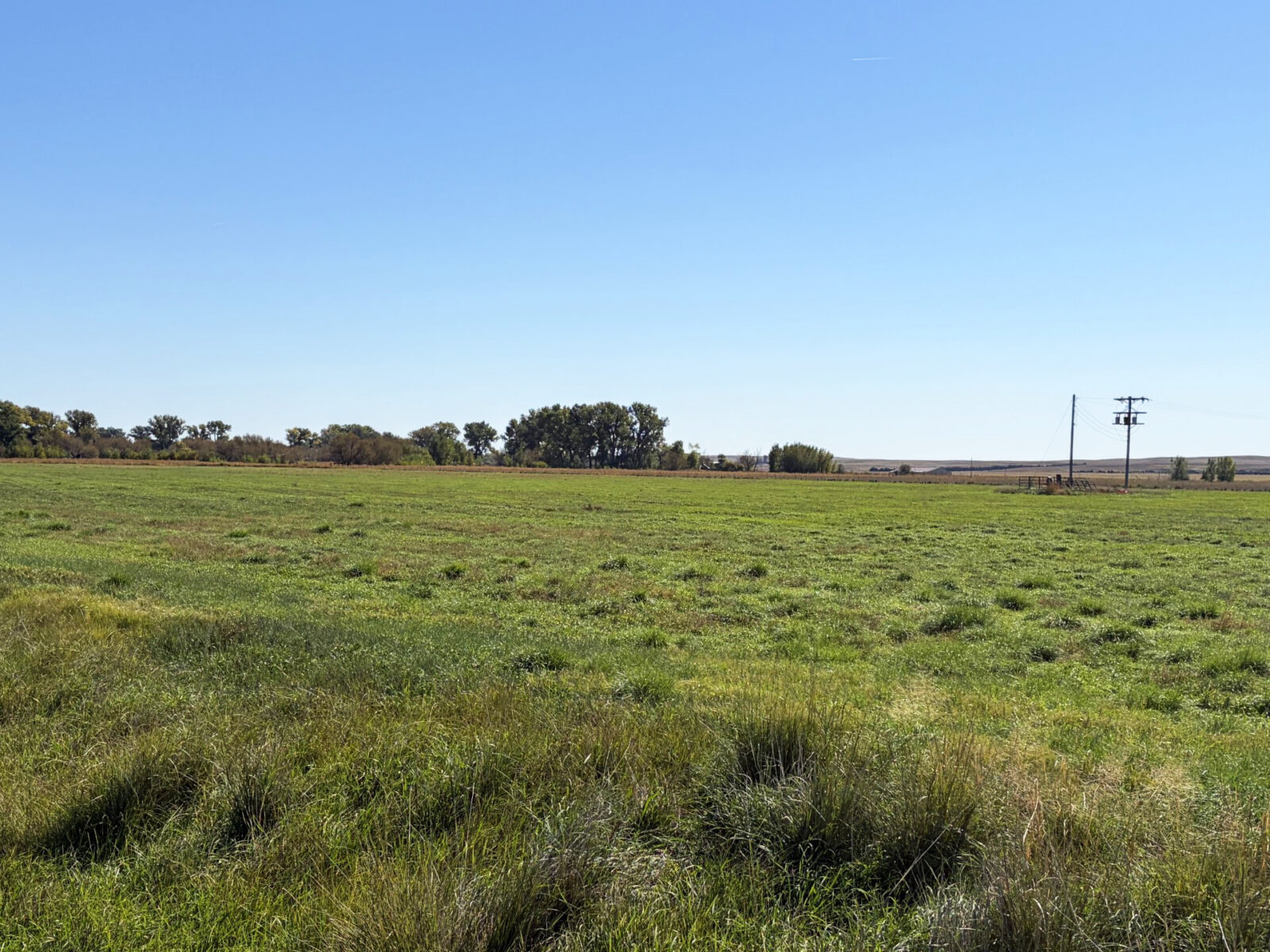 Lodgepole, NE Cheyenne County Nebraska land for sale