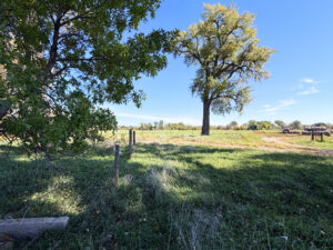Lodgepole, NE Cheyenne County Nebraska land for sale