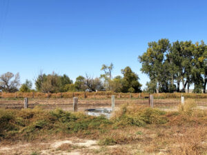 Lodgepole, NE Cheyenne County Nebraska land for sale