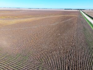 York County Nebraska Farm Land For Sale
