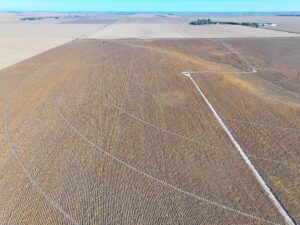 York County Nebraska Farm Land For Sale