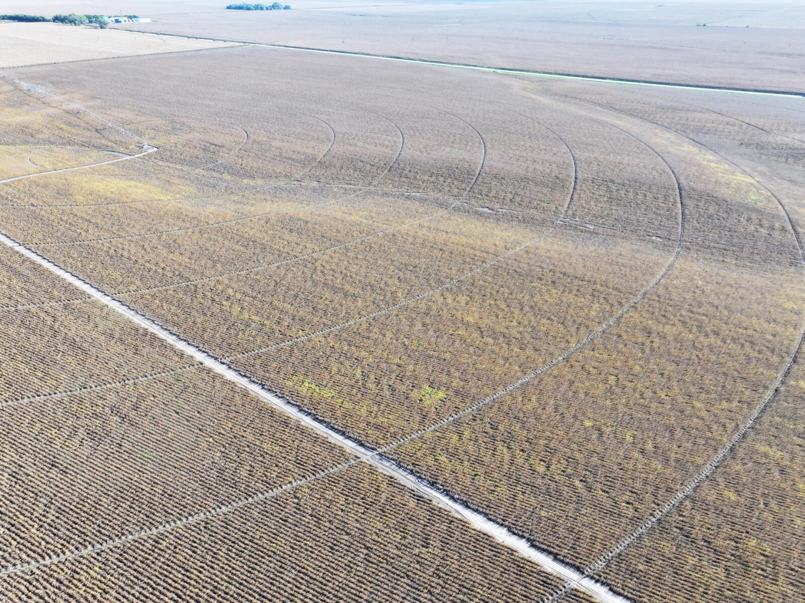 York County Nebraska Farm Land For Sale