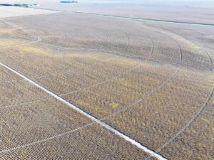 York County Nebraska Farm Land For Sale