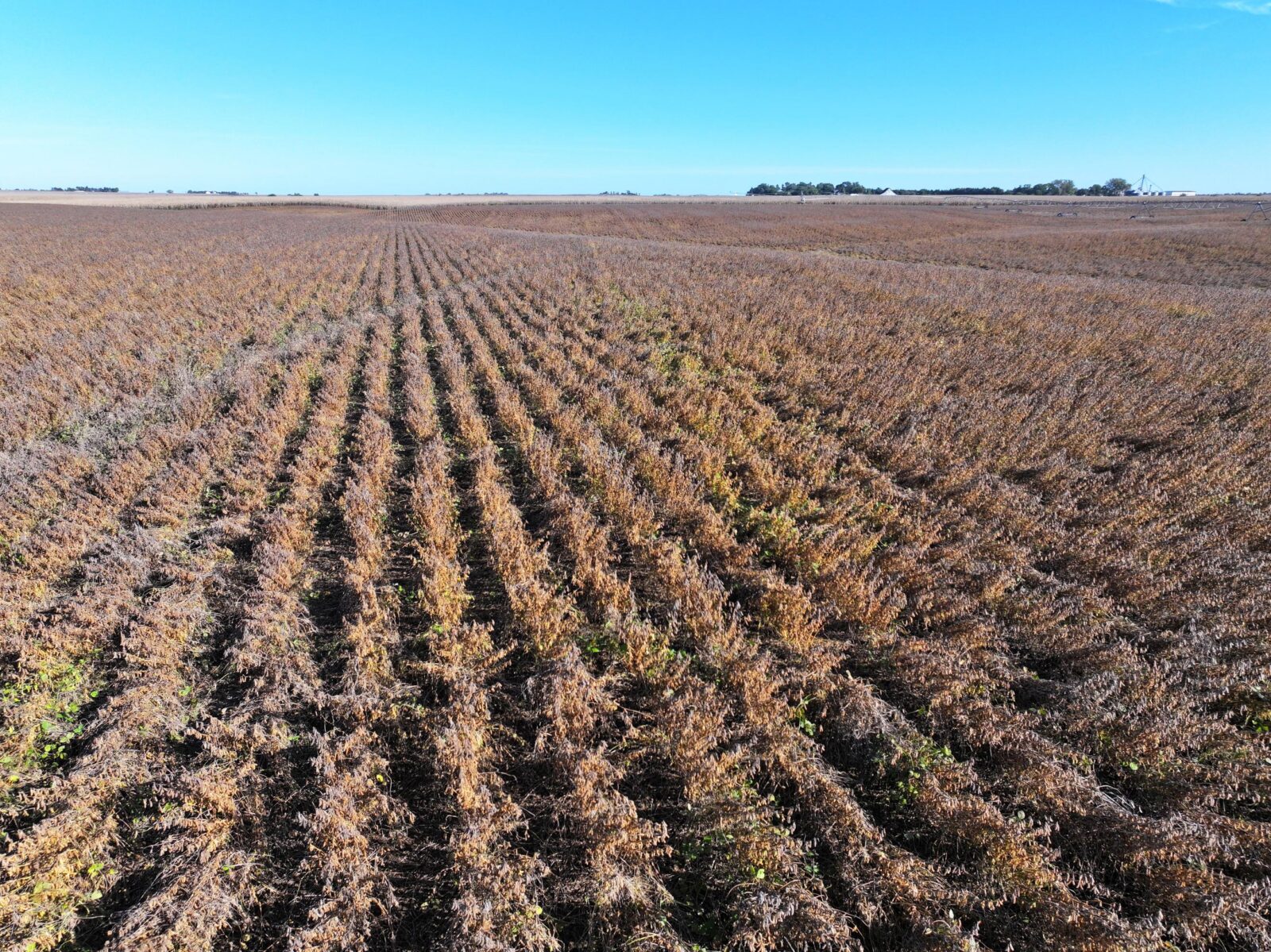 York County Nebraska Farm Land For Sale