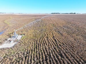 York County Nebraska Farm Land For Sale