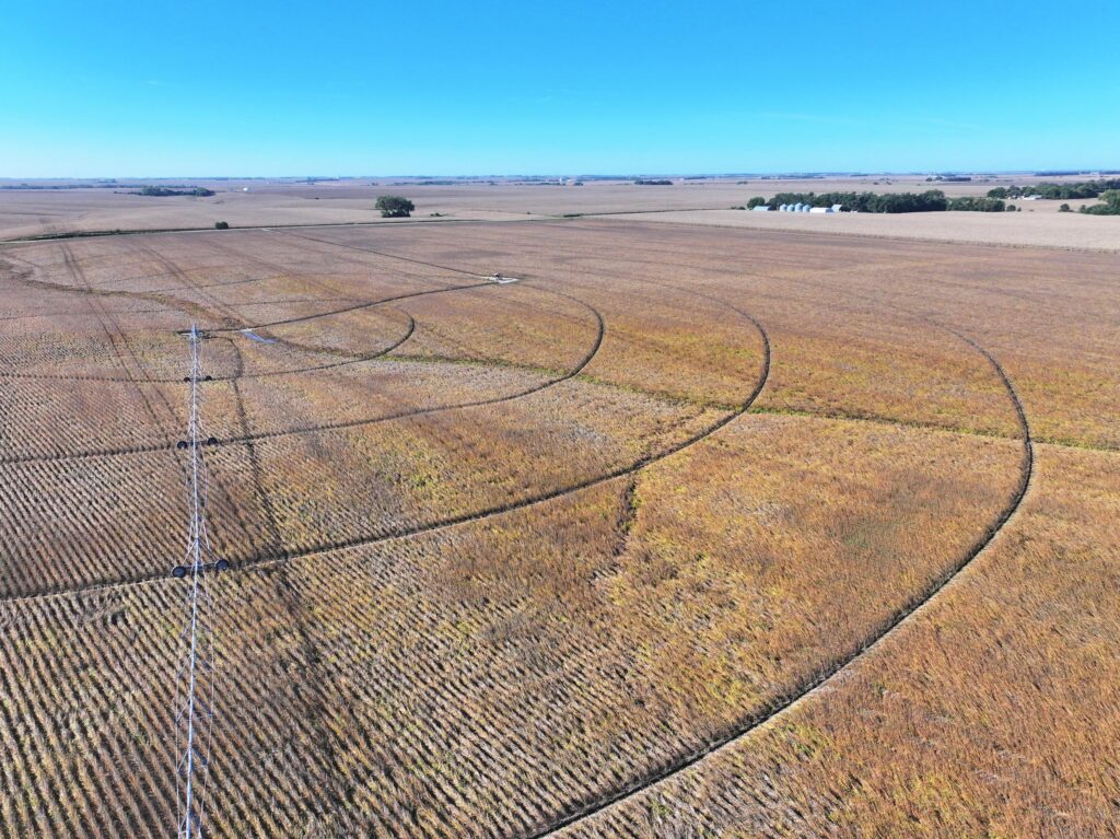 159 Acres, York County Pivot Farm  
