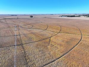York County Nebraska Farm Land For Sale