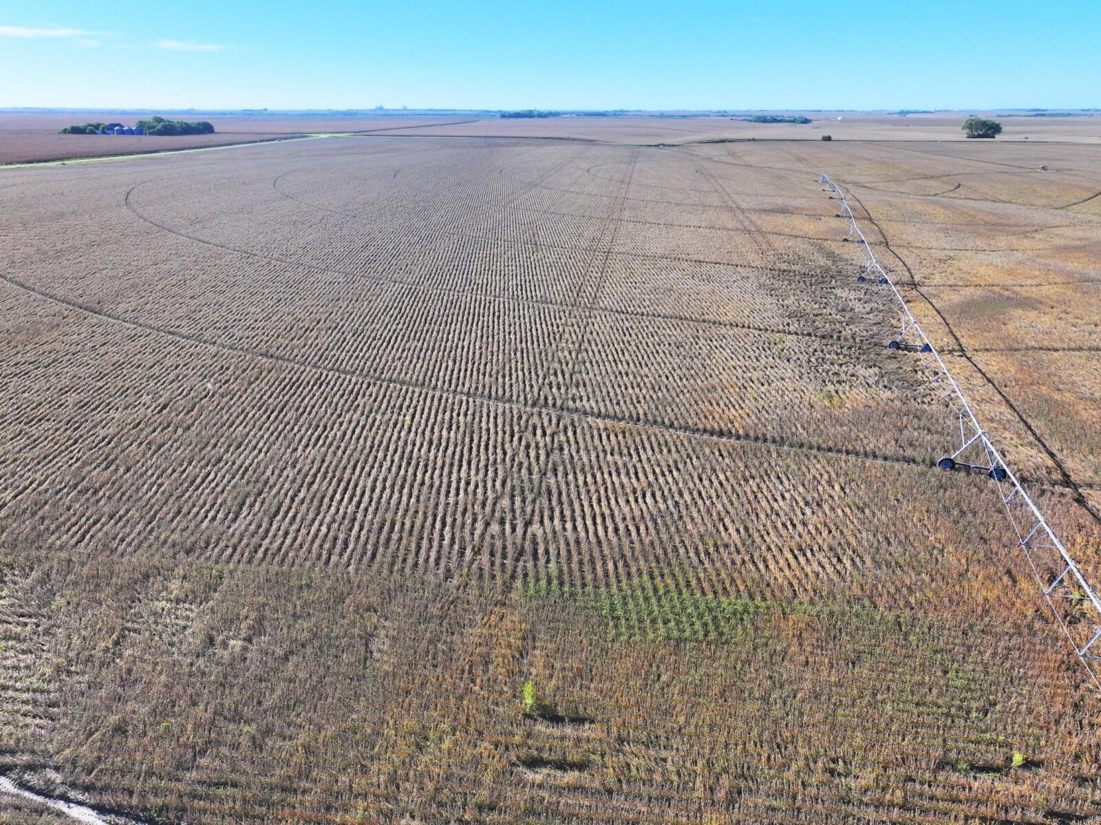 York County Nebraska Farm Land For Sale
