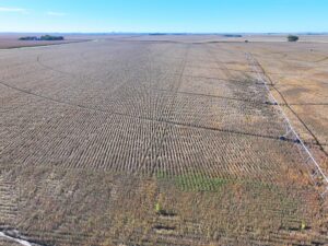 York County Nebraska Farm Land For Sale