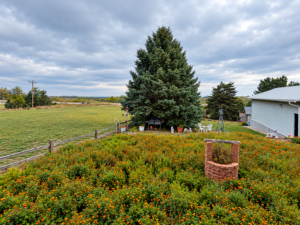 29 Yucca Heights 2, Lemoyne, NE home for sale Lake McConaughy