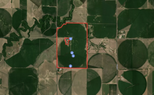 229 Acres, York County Pivots