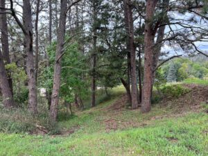 10 Berryville, Chadron, NE home for sale