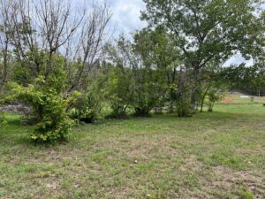 10 Berryville, Chadron, NE home for sale